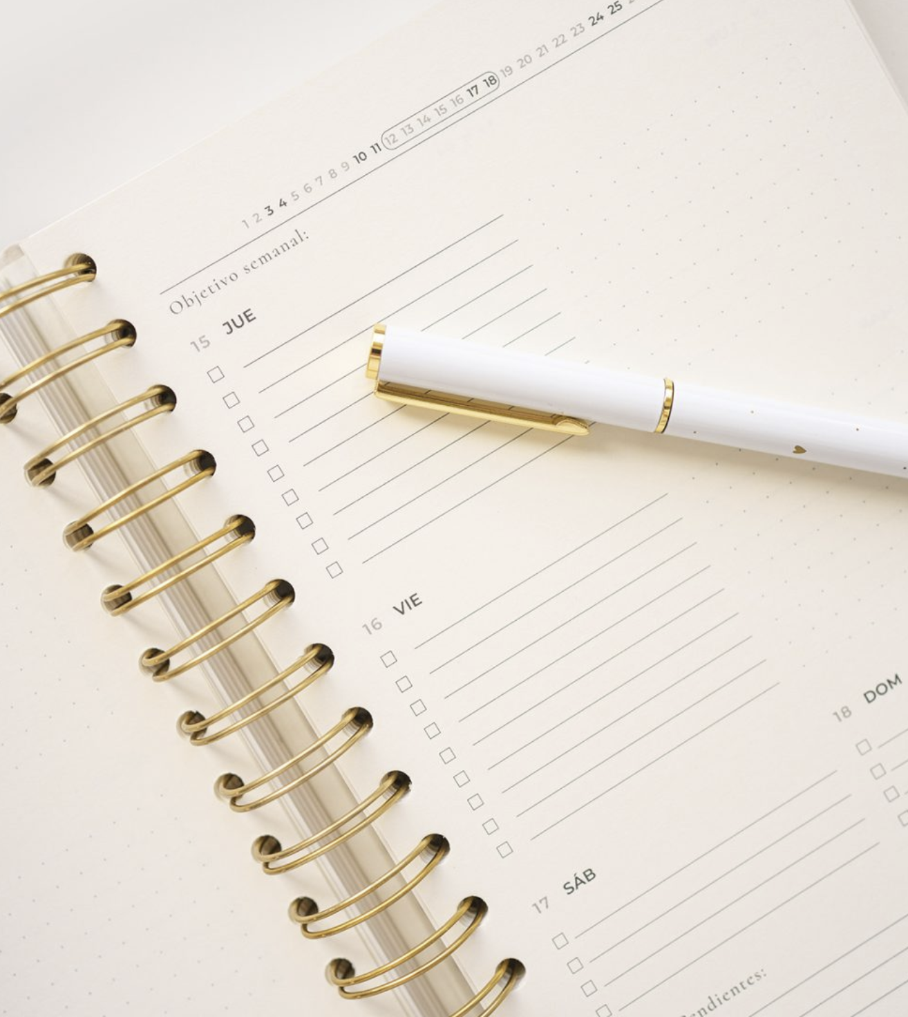 Agenda Bloomy White 2026 Entelada - THE GREAT MOUSTACHE