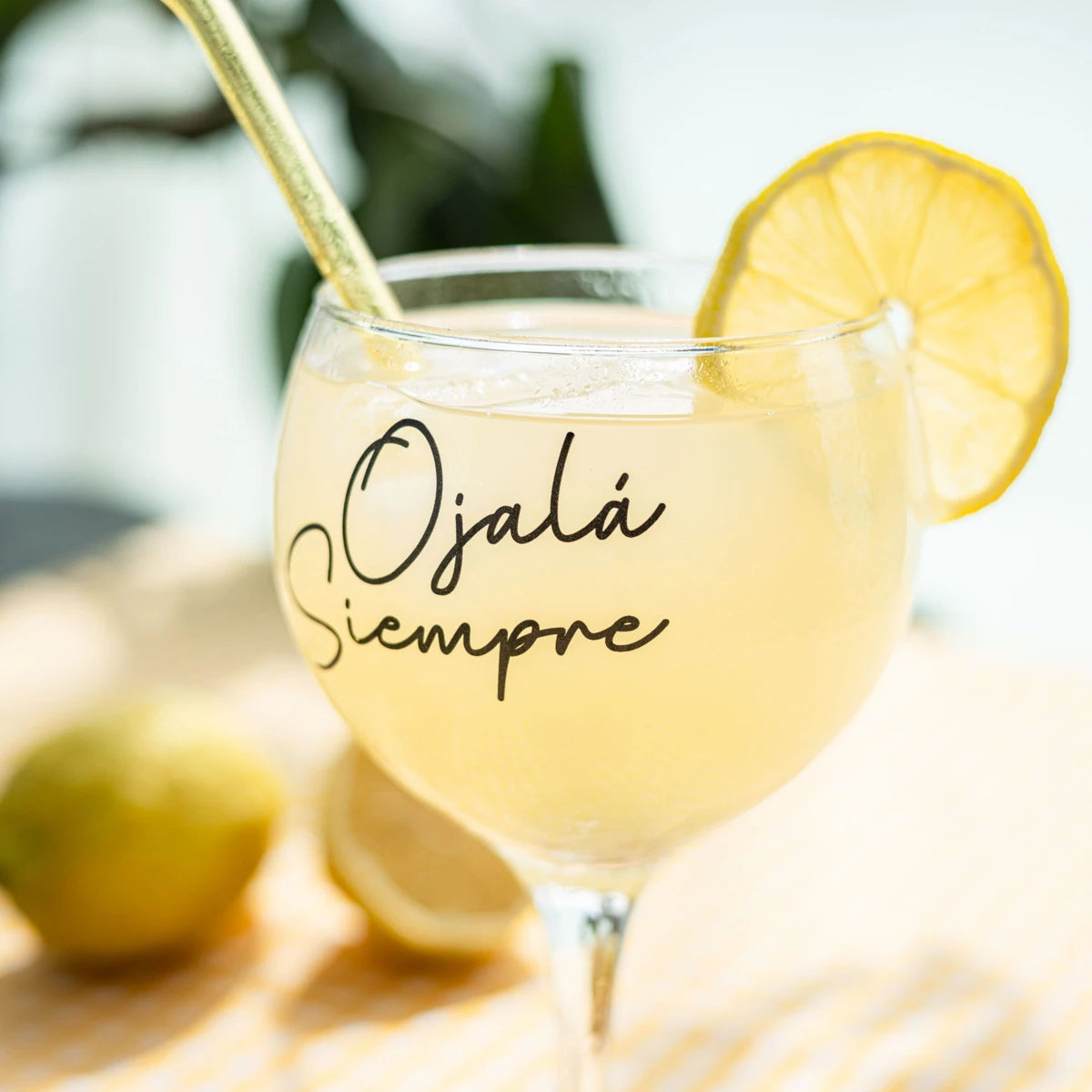 Copa Gin-Tonic DEFREDS OJALÁ SIEMPRE - AZETA