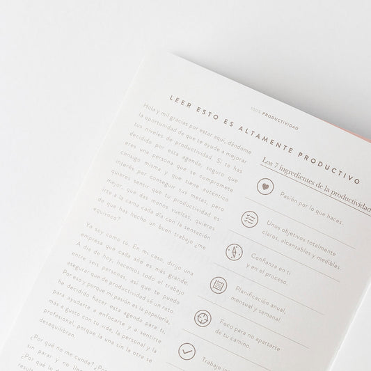 Agenda PRODUCTIVIDAD 100% Pink - CHARUCA