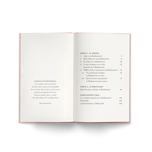 Libro BYE-BYE RADIOMENTE - CHARUCA