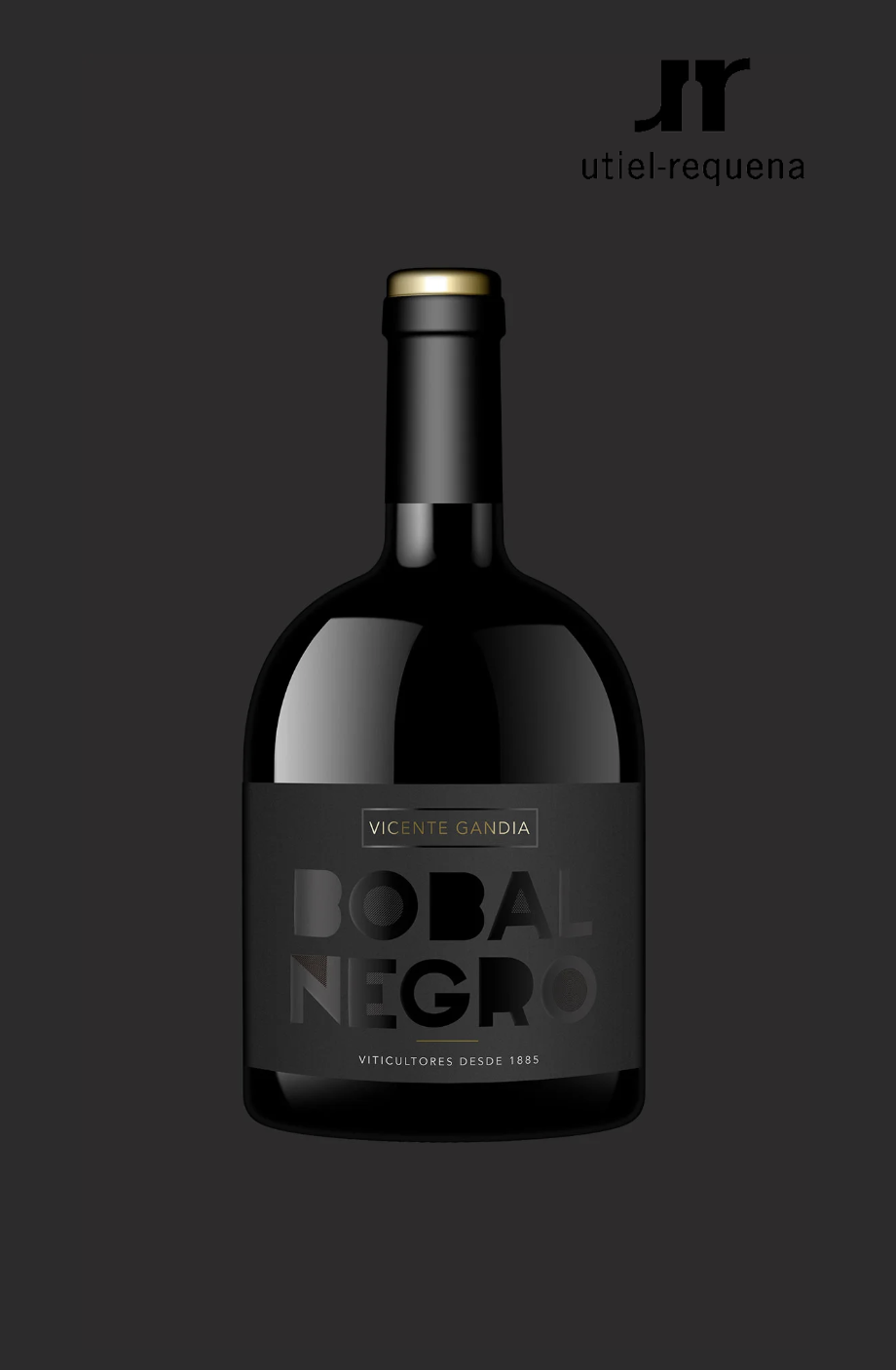 Vino tinto BOBAL NEGRO - VICENTE GANDIA