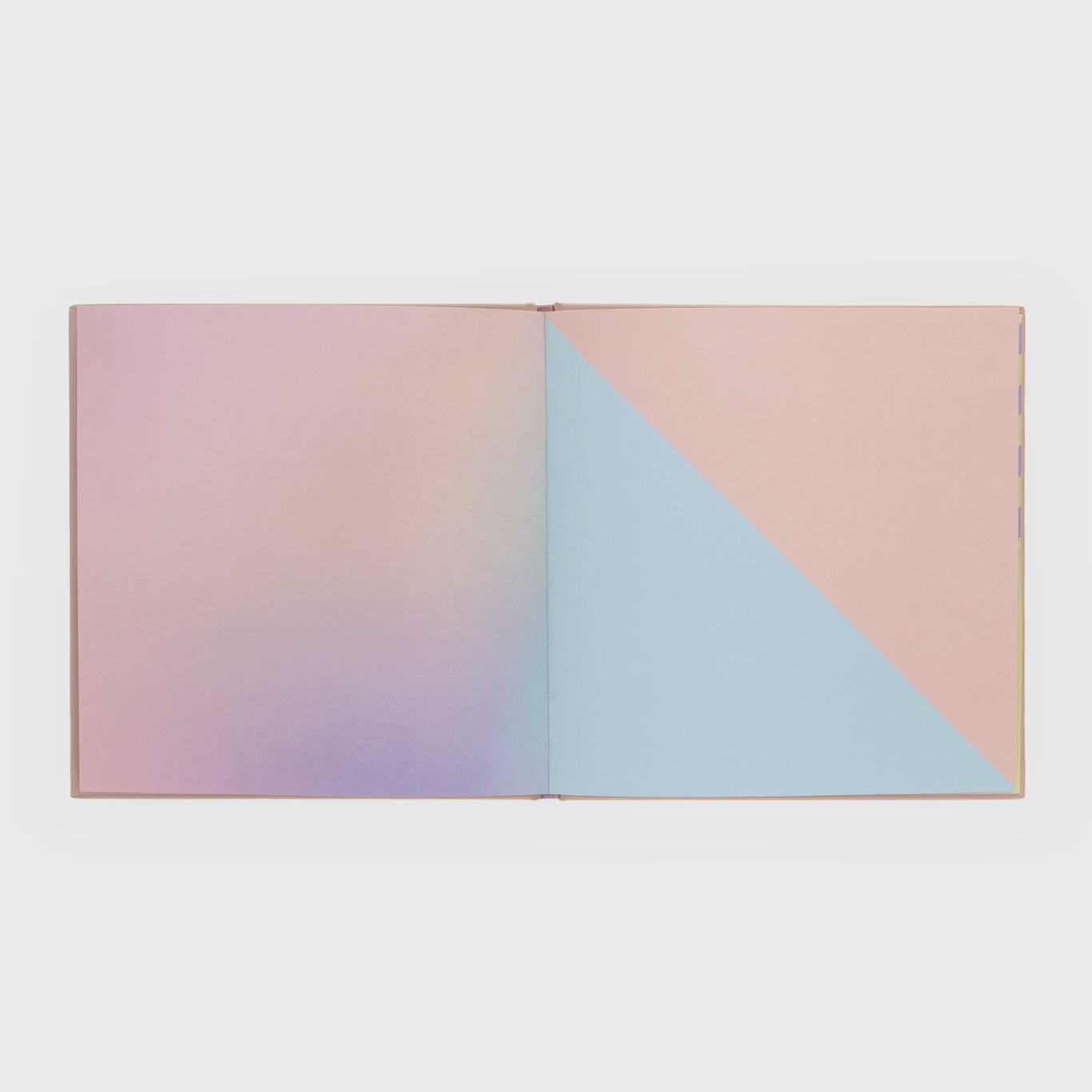 Álbum de fotos FLASHBACKS DE MOMENTOS GENIALES - Mr. Wonderful