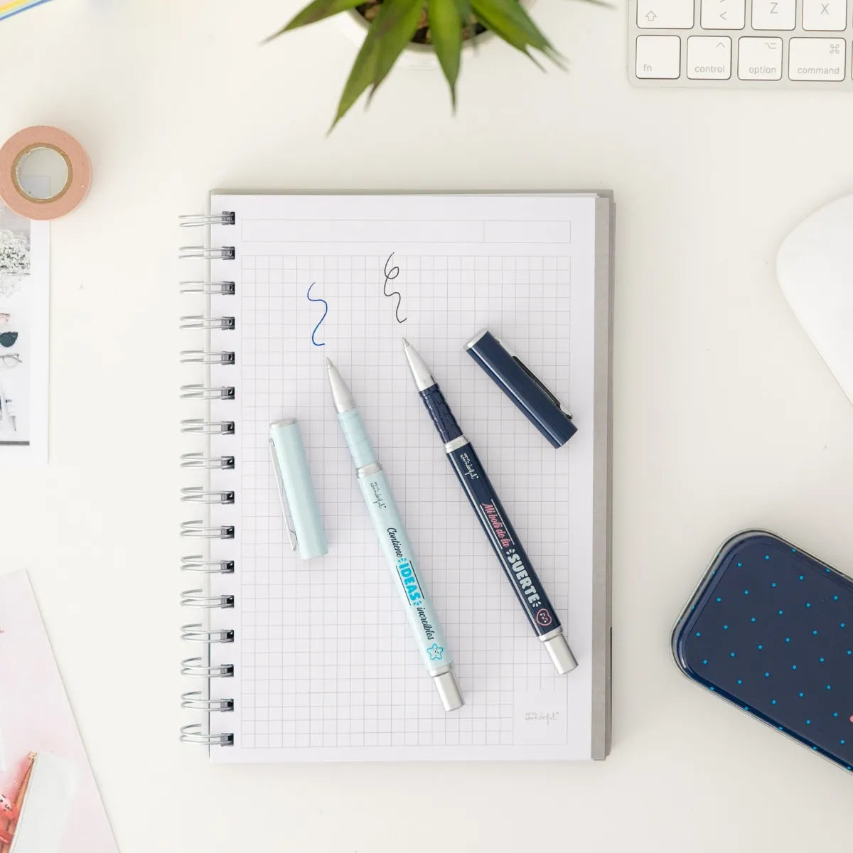 Set de 2 Bolis + Estuche PARA ANOTAR IDEAS QUE NO VEAS - Mr. Wonderful