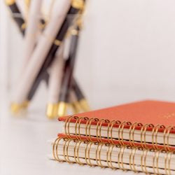 Planificador Entelado Laboral/Personal LET’S PLAN Pure WHITE - The Great Moustache