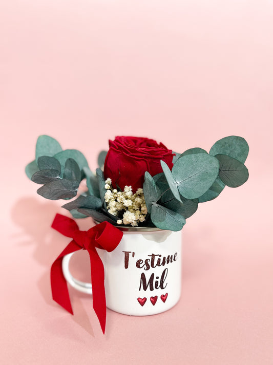 Rosa Eterna en Taza Vintage - T'estime Mil/ Te Quiero Mucho - Be Love