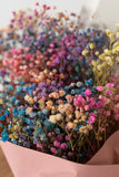 Paniculata Arcoiris- Profe Pintas nuestro mundo de Colores- Be Love