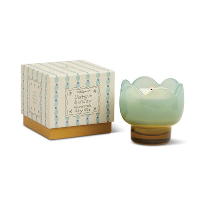 Glicina y sauce - vela de tulipán de 5,5 oz - PADDYWAX