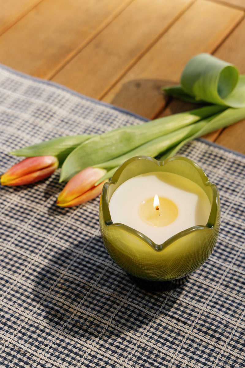 Verbena y hierba limón - vela de tulipán 5,5 oz - PADDYWAX