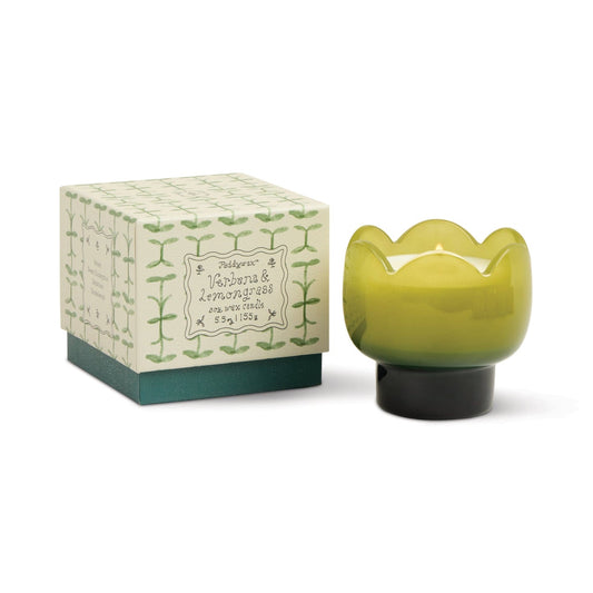 Verbena y hierba limón - vela de tulipán 5,5 oz - PADDYWAX
