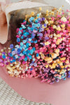 Ramo Paniculata Multicolor Preservada-Be Love