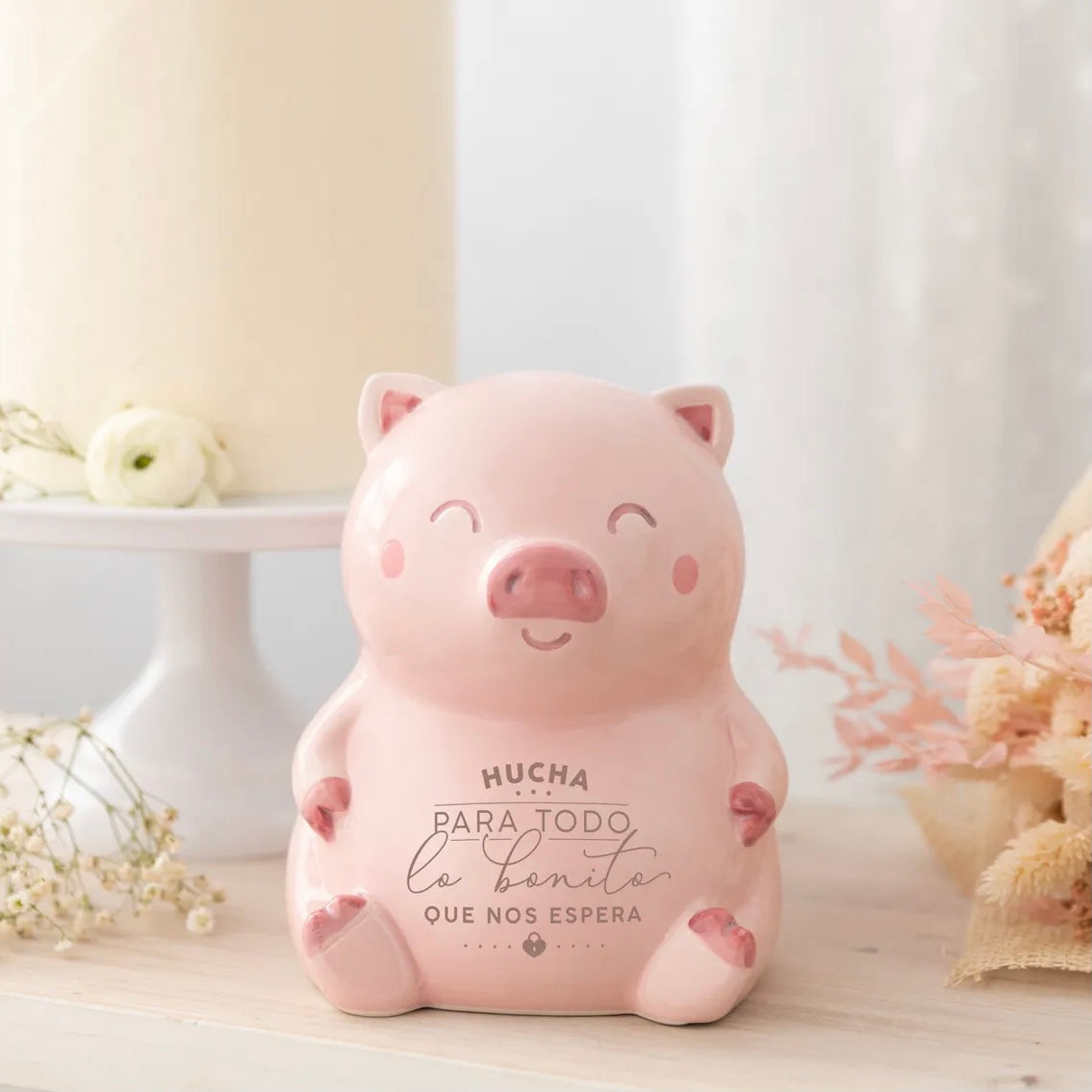 Hucha de Cerdito PARA TODO LO BUENO QUE NOS ESPERA - Mr. Wonderful