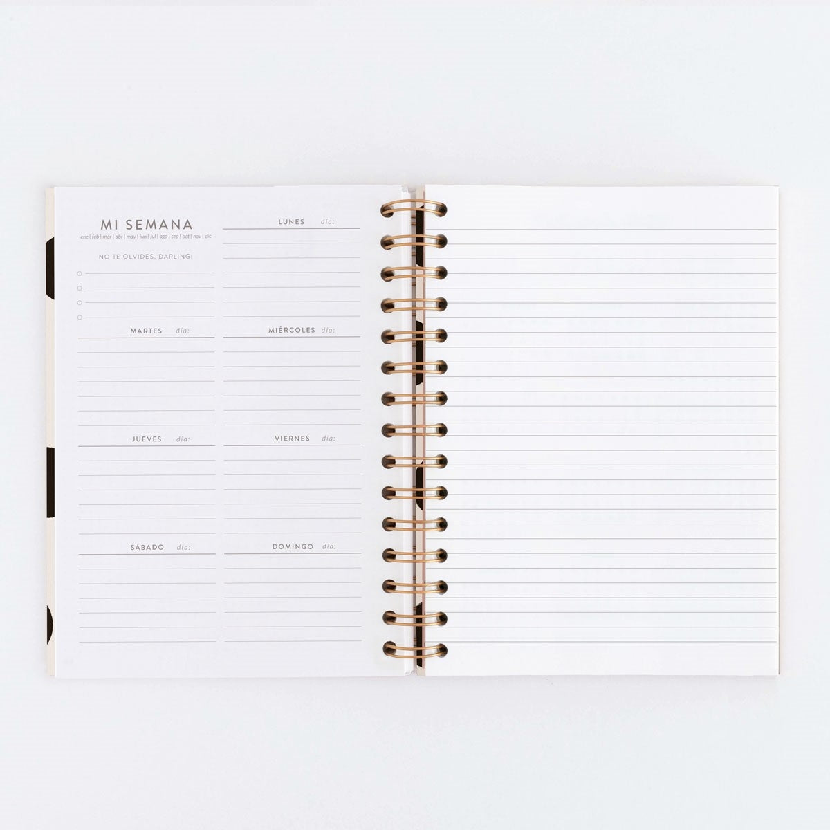 Agenda SIN FECHAS Semana Vista + Notas MINIMAL - CHARUCA