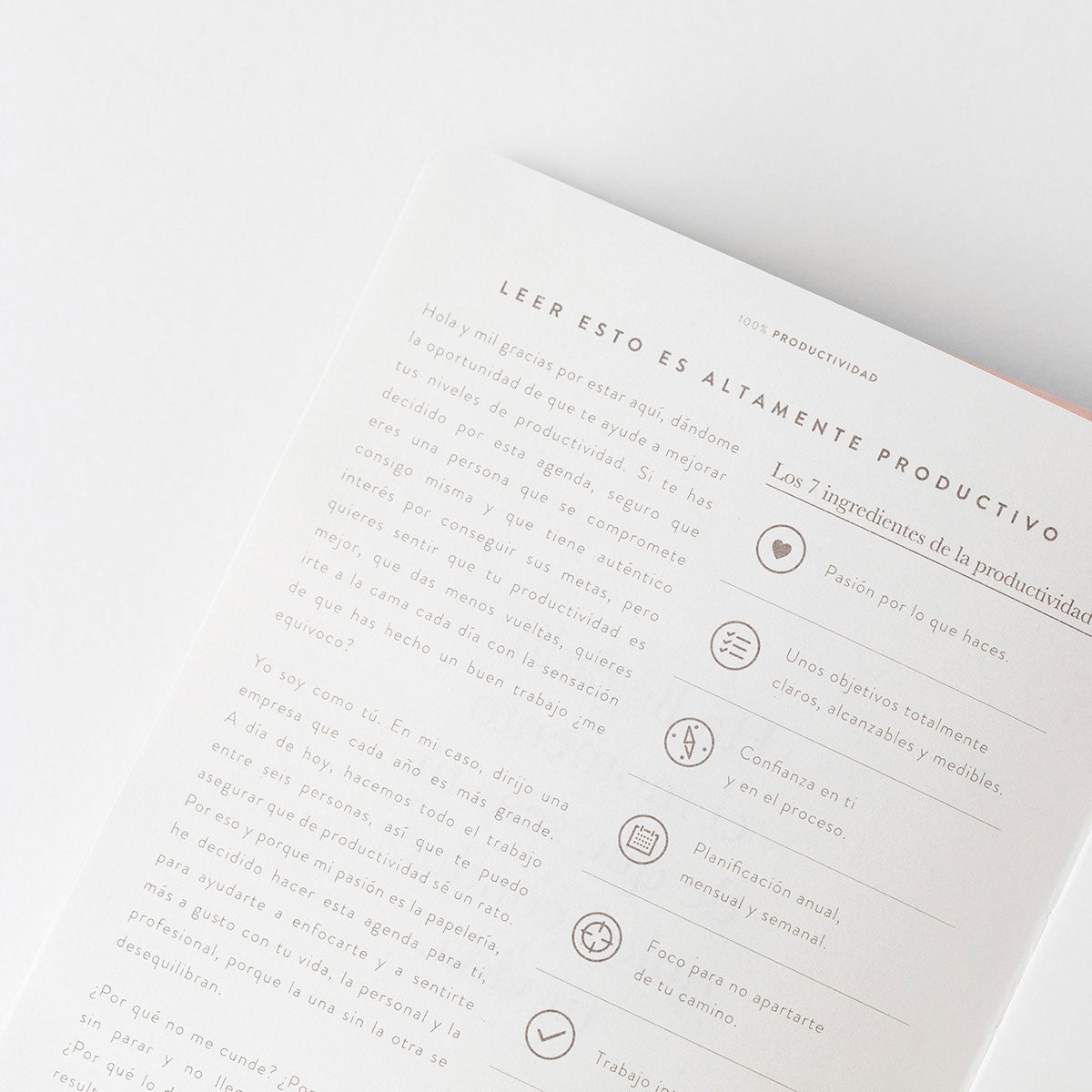 Agenda PRODUCTIVIDAD 100% Pink - CHARUCA