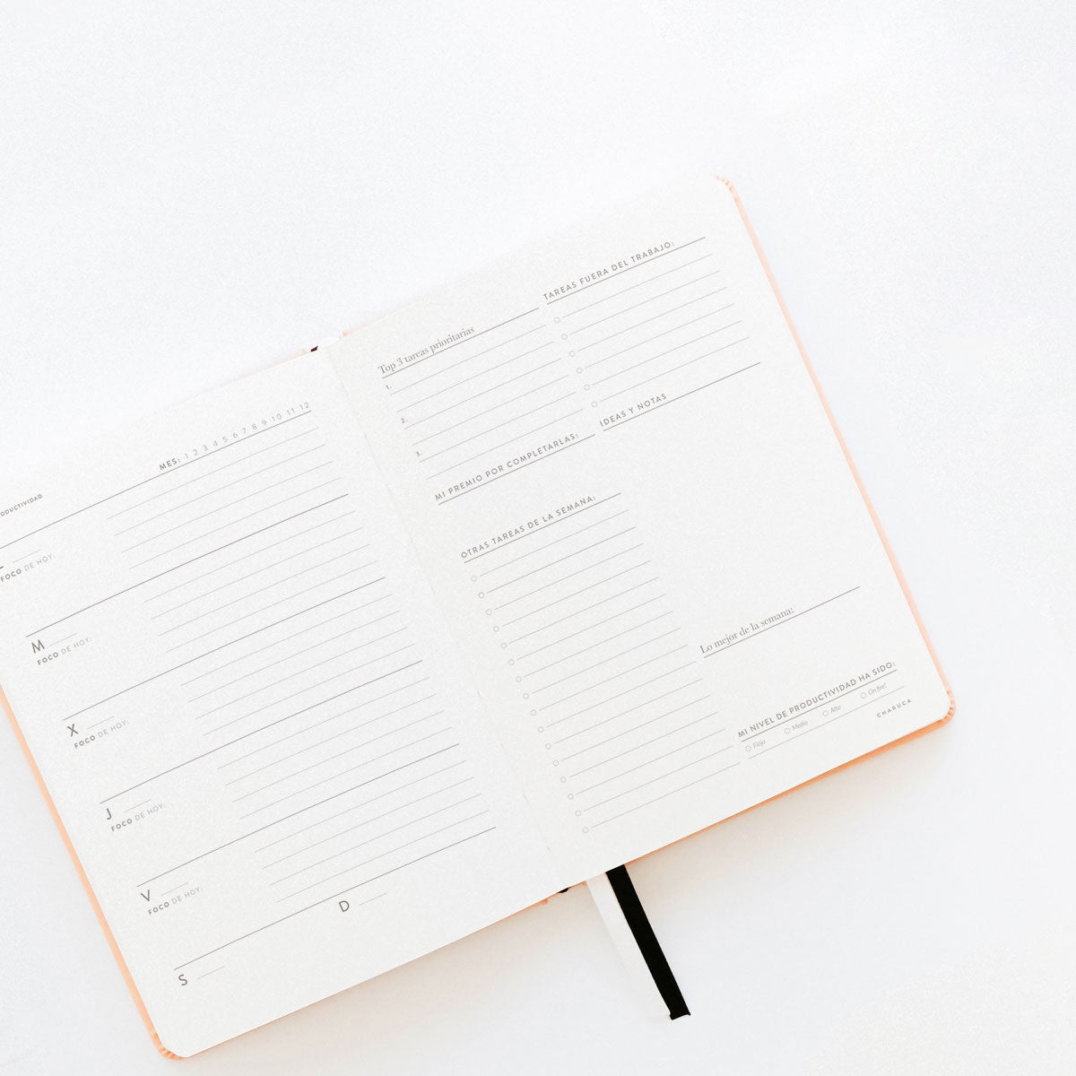 Agenda PRODUCTIVIDAD 100% Pink - CHARUCA