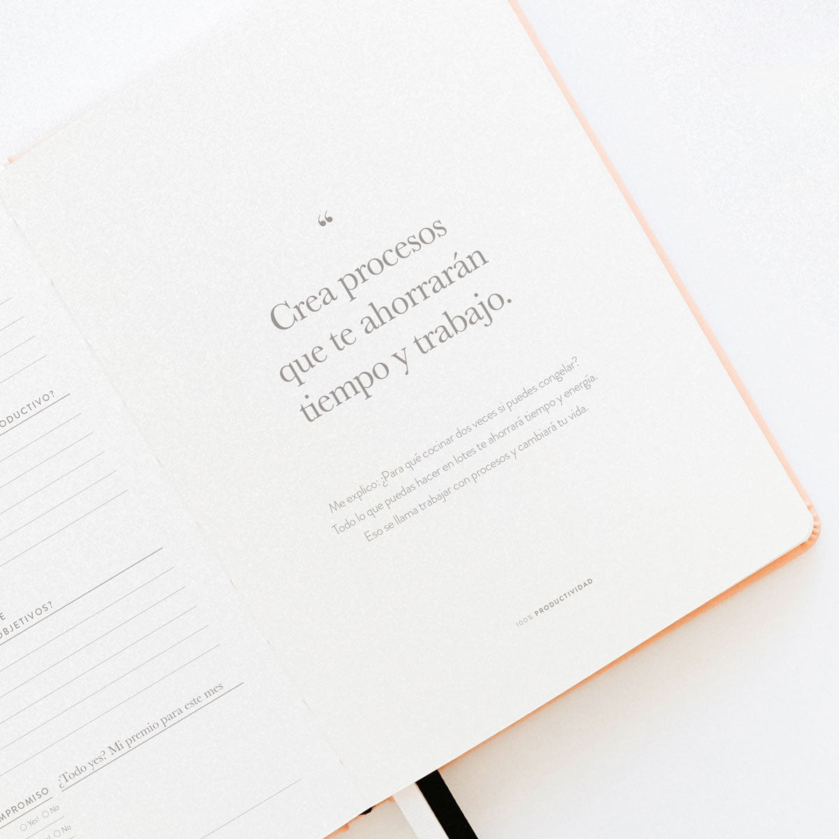 Agenda PRODUCTIVIDAD 100% Pink - CHARUCA