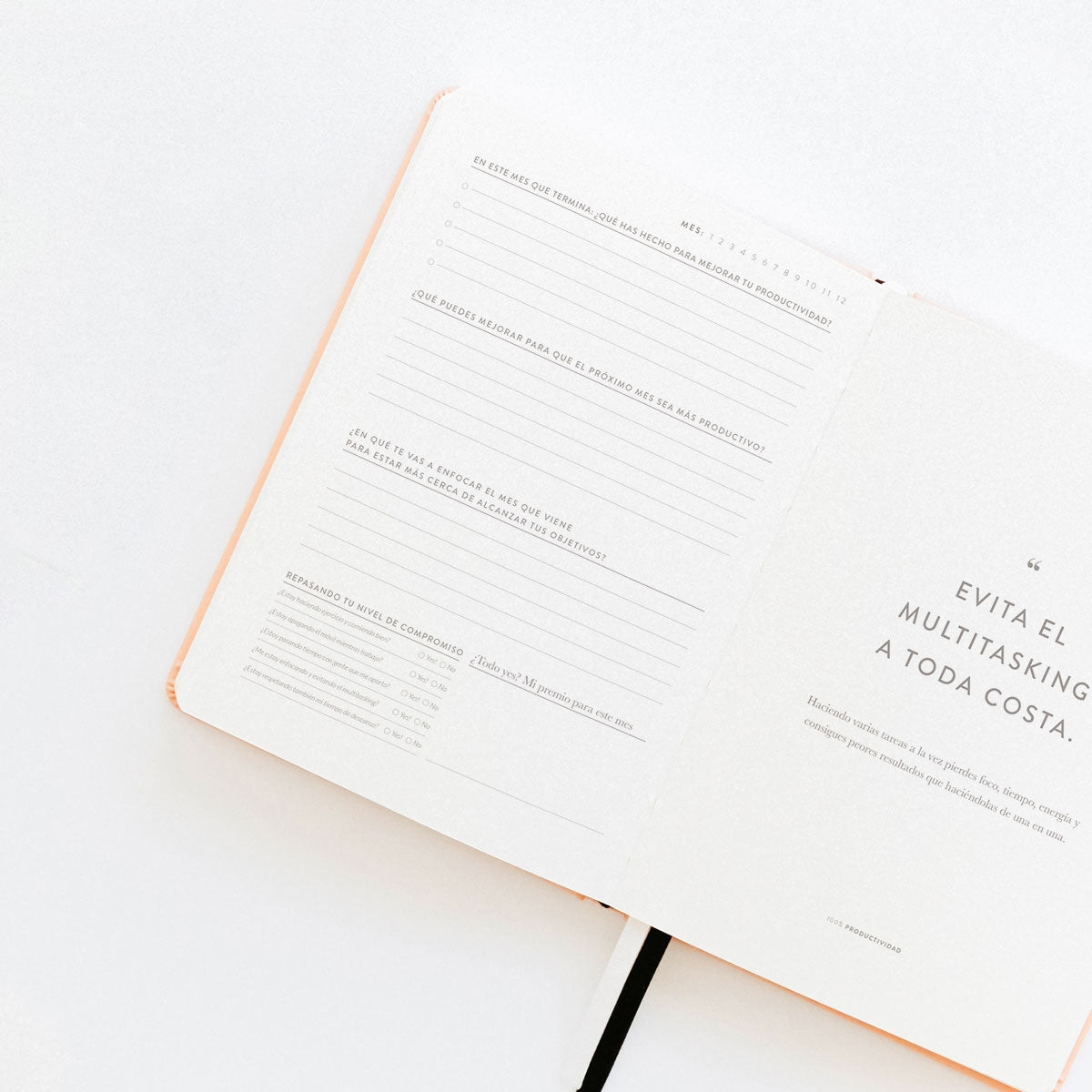 Agenda PRODUCTIVIDAD 100% Pink - CHARUCA