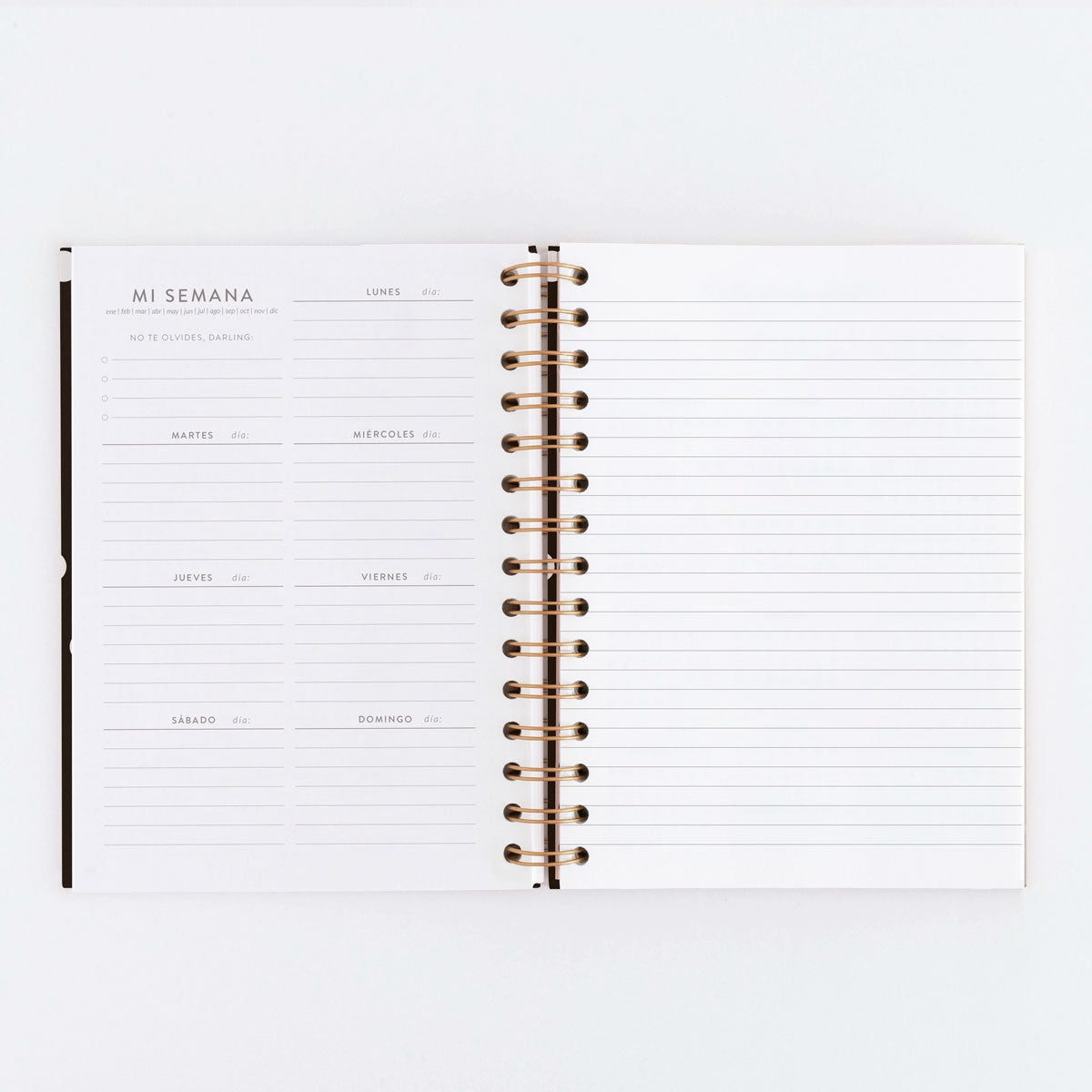 Agenda SIN FECHAS Semana Vista + Notas NEGRA - CHARUCA