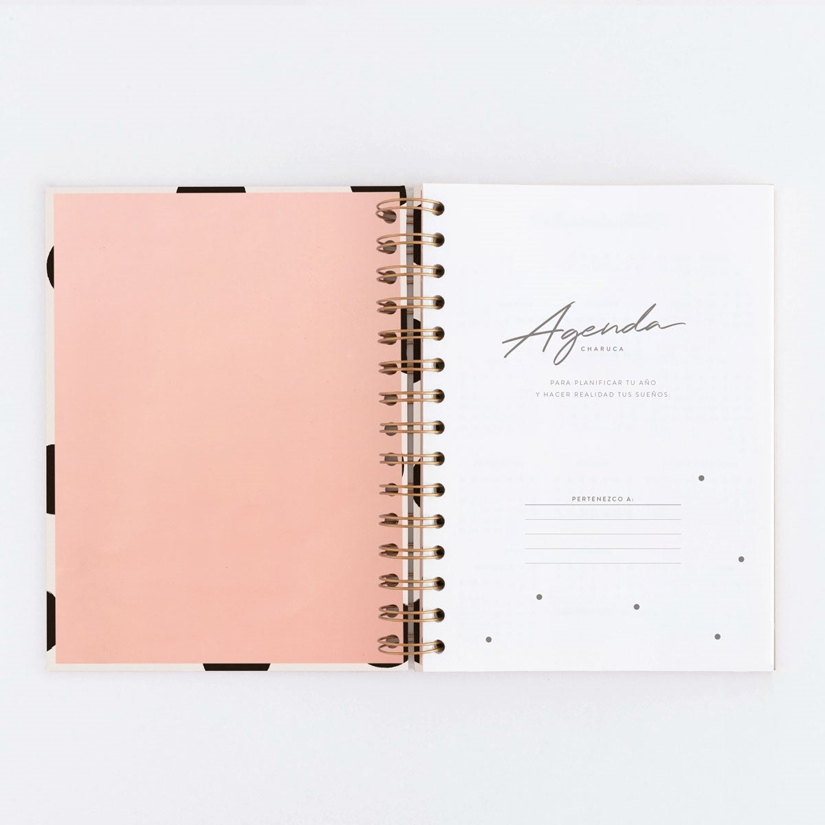 Agenda SIN FECHAS Semana Vista + Notas MINIMAL - CHARUCA