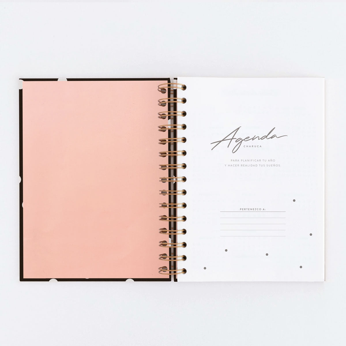 Agenda SIN FECHAS Semana Vista + Notas NEGRA - CHARUCA