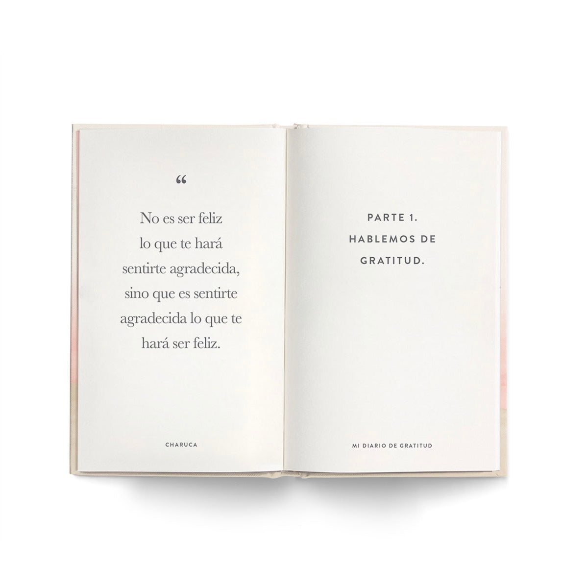Diario de Gratitud GRACIAS - CHARUCA